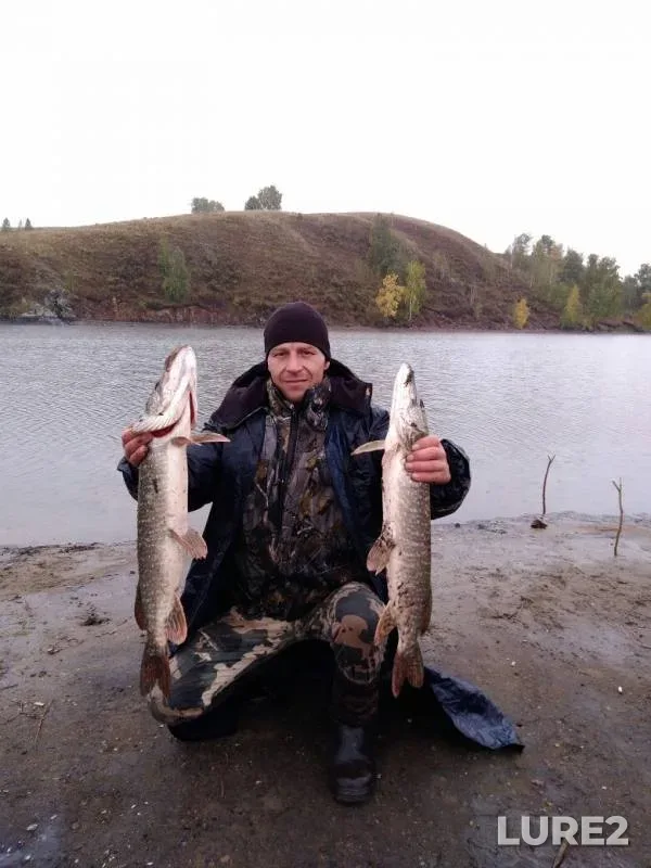 Pike — Chelyabinskaya oblast, Uyskiy rayon, Sep 24, 2017