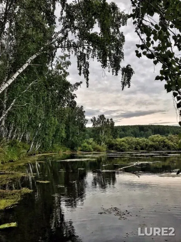 Pike — Rybnaya, Aug 12, 2019
