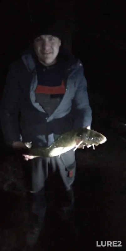 Burbot — Abakan, Apr 21, 2019