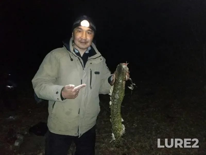 Burbot — Abakan, Apr 11, 2019