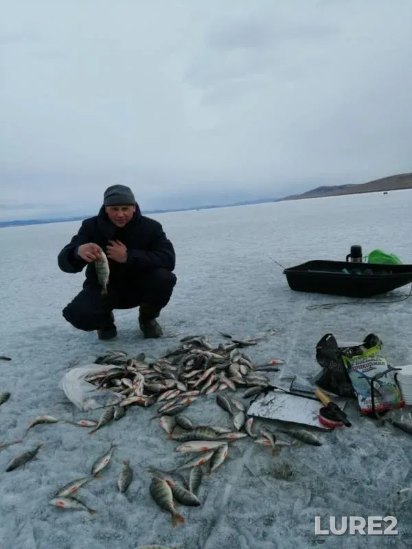 Perch — Krasnoyarskoye, Apr 07, 2019