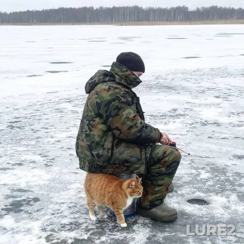 Perch, Roach — Selizharovka, Dec 06, 2018
