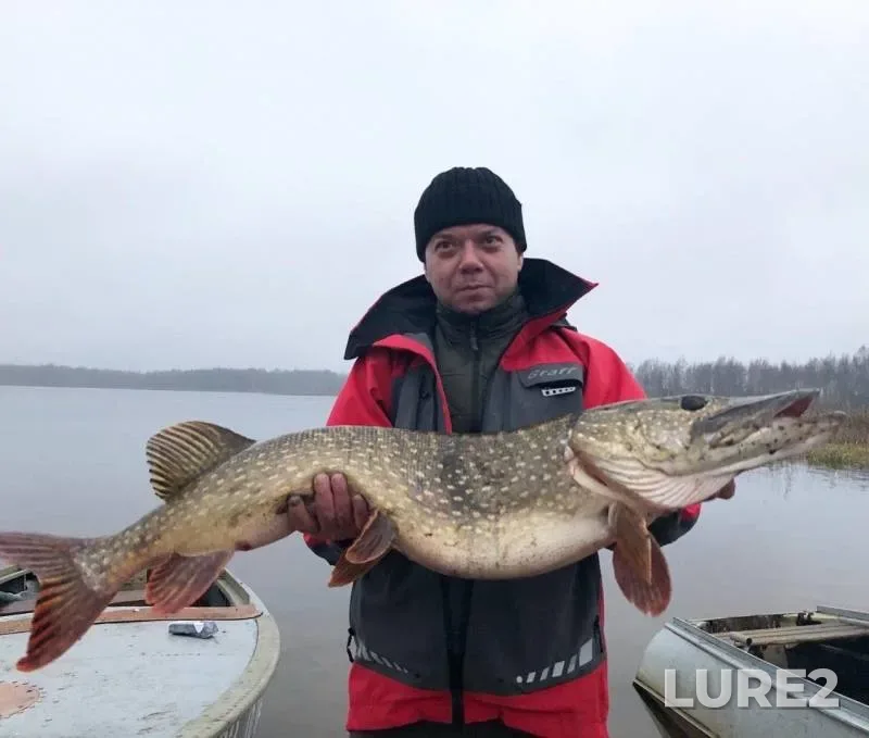 Pike — Selizharovka, Nov 11, 2019