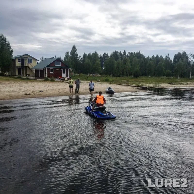 Tench — Selizharovka, Jun 16, 2018