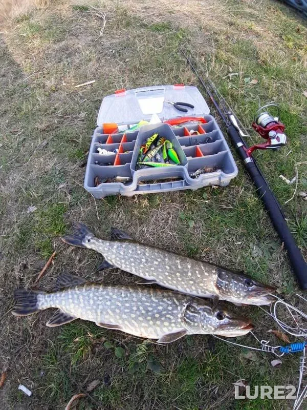 Pike — Yaselda, Oct 15, 2019