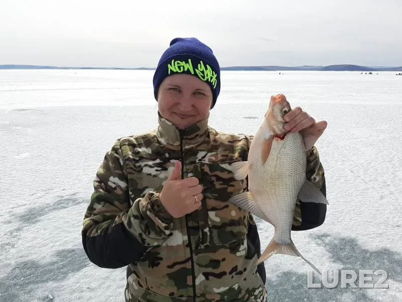 Bream, Perch — Krasnoyarskoye, Apr 08, 2019