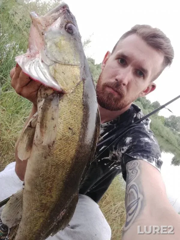 Zander — Yamishcha, Jun 22, 2019