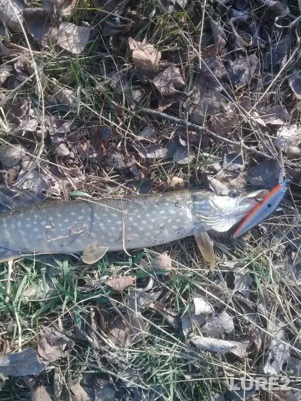 Pike — Respublika Khakasiya, May 07, 2019