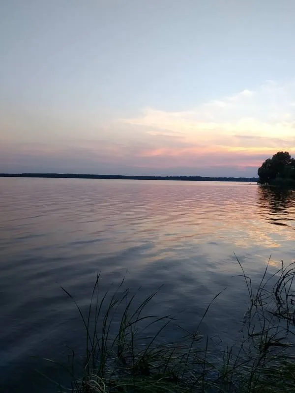 Окунь
