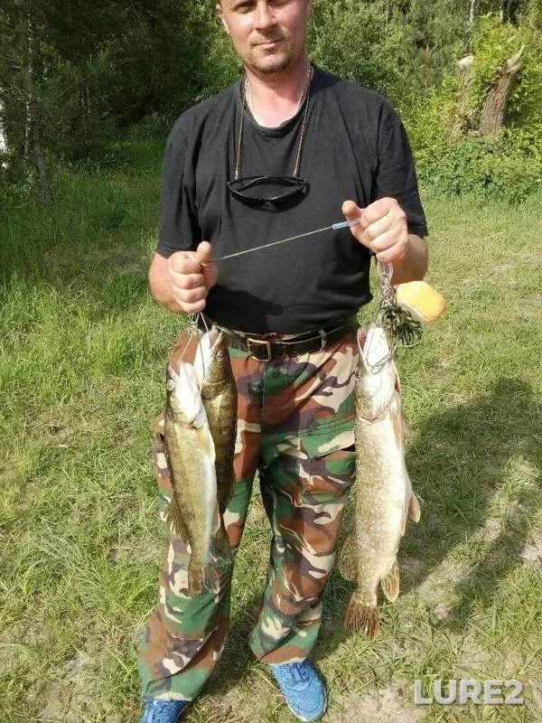 Pike, Zander — Soligorskoye, Jun 01, 2019