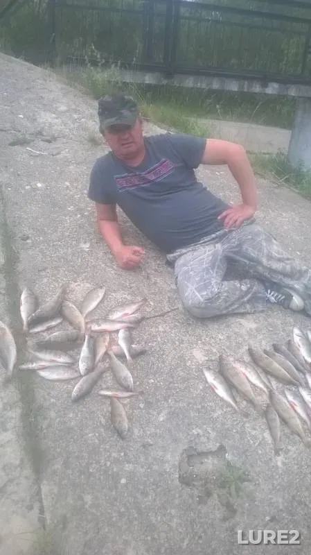 Perch — Pogost, Jun 01, 2019