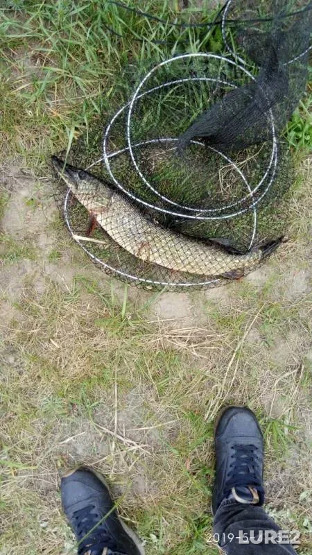 Pike — Prostyr, May 04, 2019