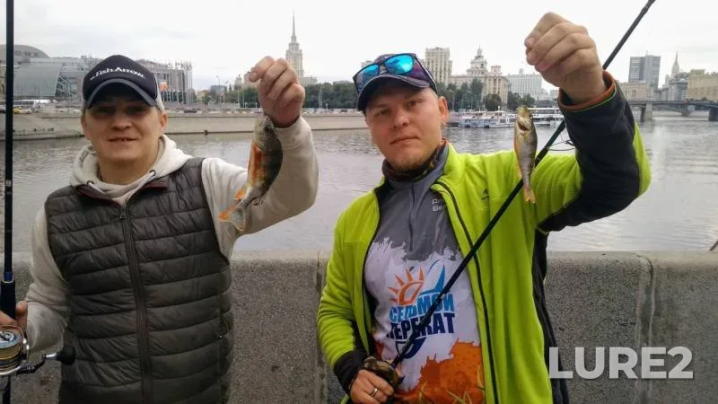 Perch — Moskva, Aug 06, 2019