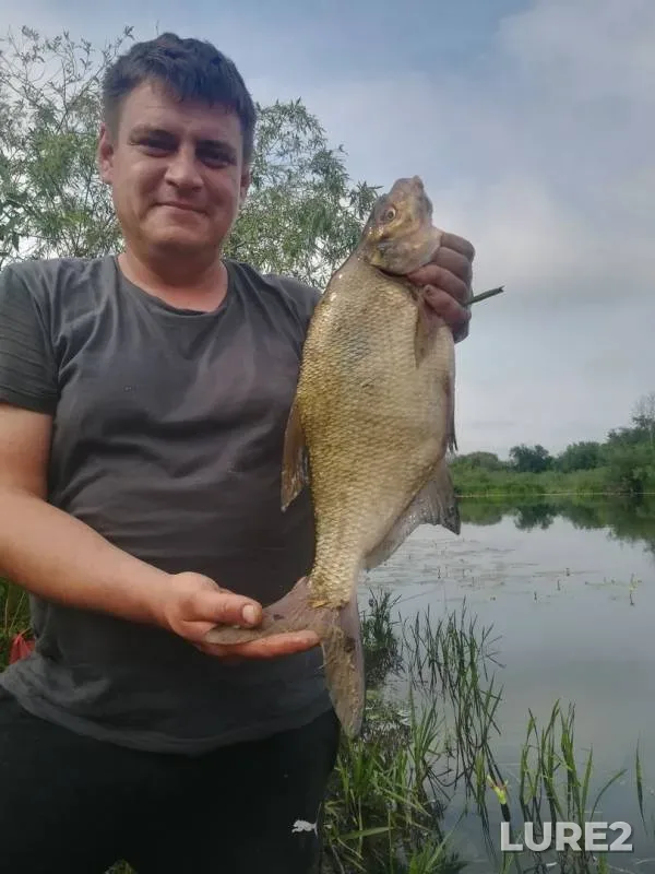 Bream — Kanal, Jun 03, 2019