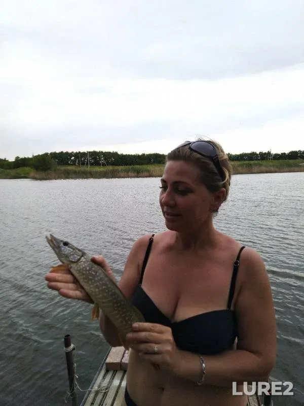 Pike, Zander — Rostovskaya oblast, Jun 28, 2019