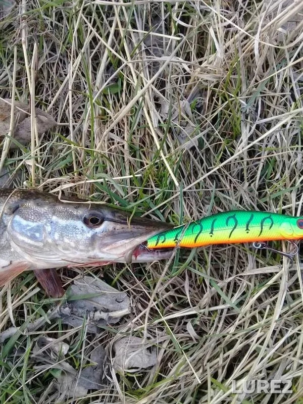 Pike — Tasheba, May 16, 2019