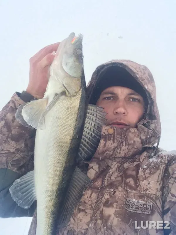 Zander — Kuybyshevskoye, Jan 29, 2019