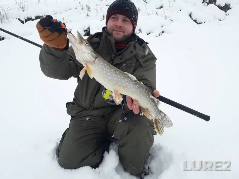 Pike — Moskva, Jan 19, 2019
