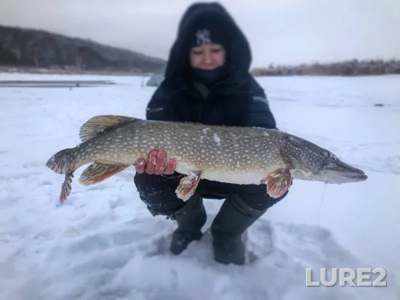 Pike — Respublika Tatarstan, Jan 19, 2019