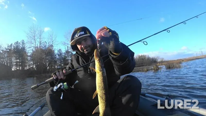 Pike — Volokhnitsa, Nov 01, 2018