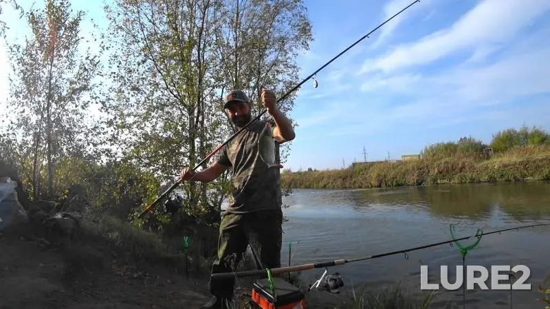 Carp — Arkhangelskaya oblast, Sep 30, 2018