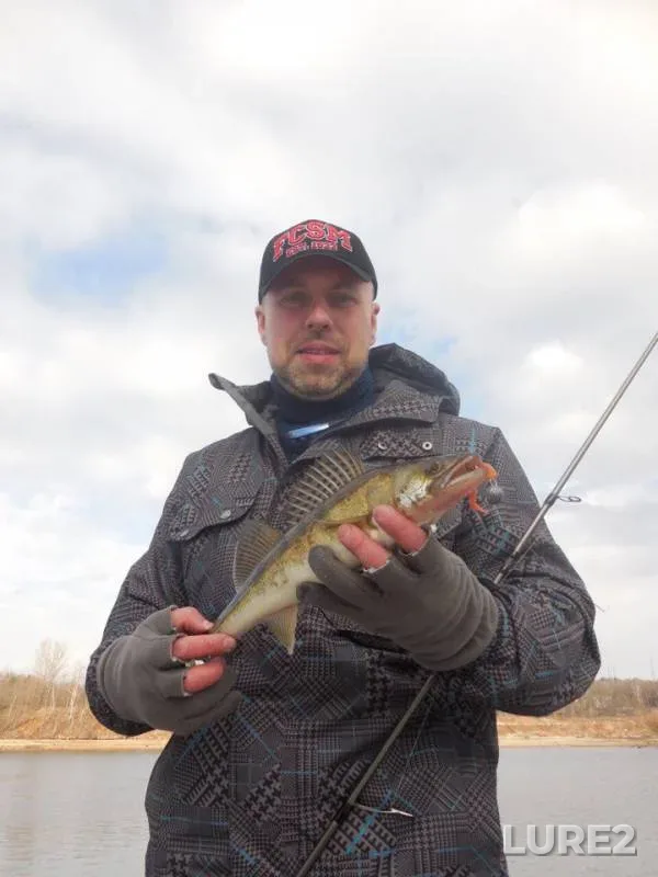 Bream, Pike — Moskva, Mar 13, 2017