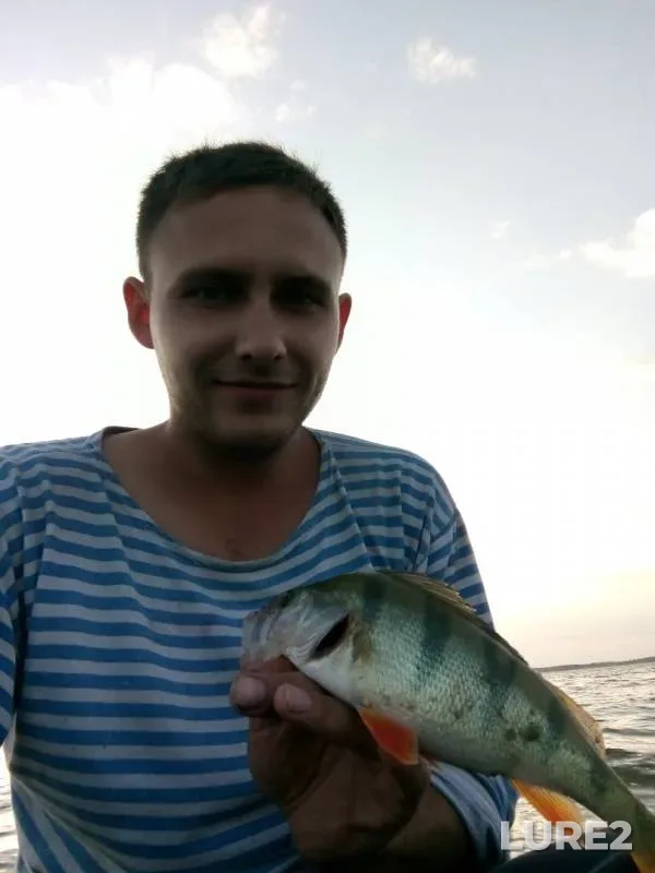 Perch — Myrkay, Aug 23, 2019