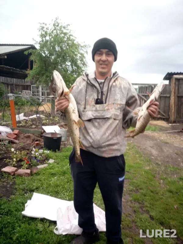 Pike — Miass, Aug 05, 2019