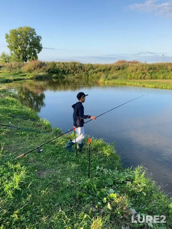 Carp — Beshkilka, Aug 24, 2019
