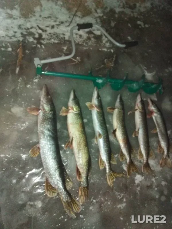 Pike — Ivan, Nov 07, 2019