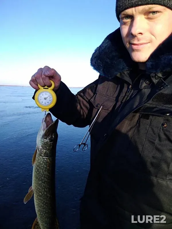 Perch, Pike — Ivan, Nov 04, 2019