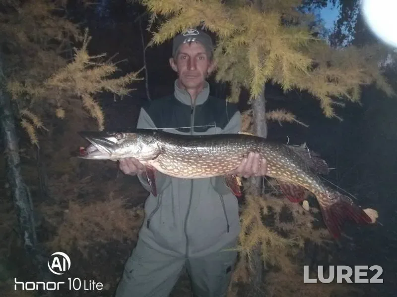 Pike — Shakshinskoye, Sep 24, 2019