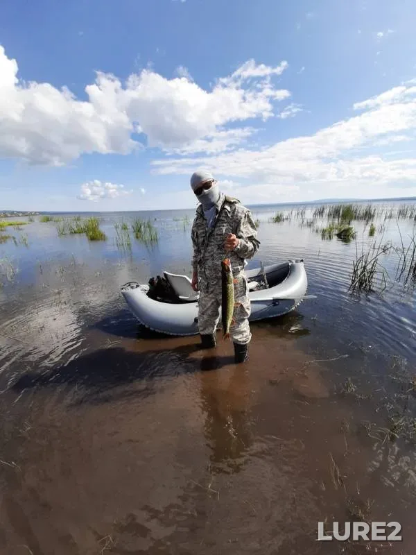 Pike — Shakshinskoye, Sep 01, 2019