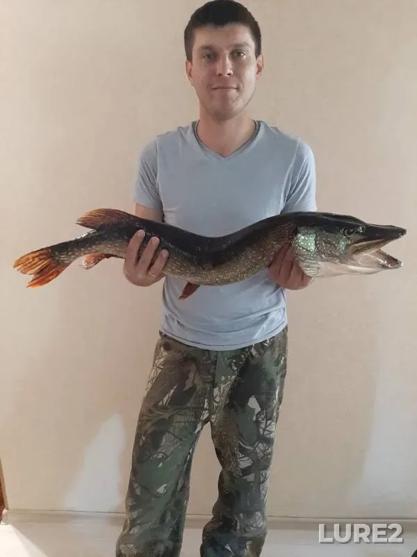 Pike — Ivan, Aug 31, 2019