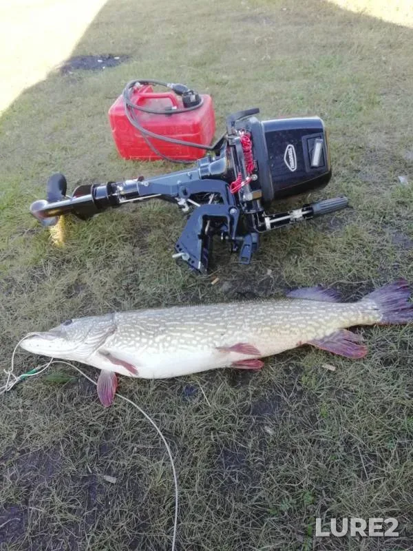 Pike — Arakhley, Aug 24, 2019