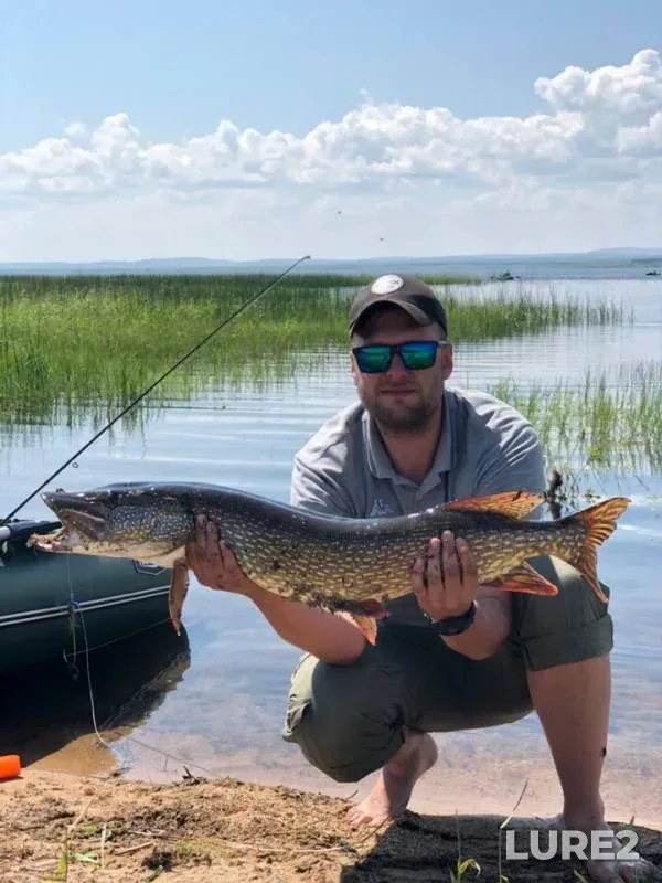 Pike — Shakshinskoye, Jul 02, 2019