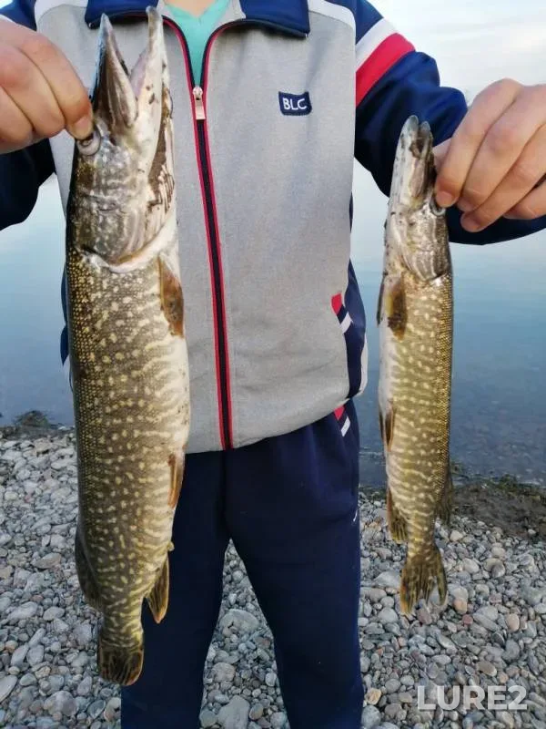 Pike — Minusinskaya protoka, May 25, 2019