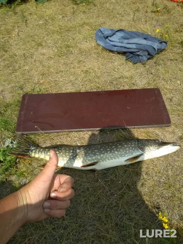 Pike — Ivan, Jul 14, 2019
