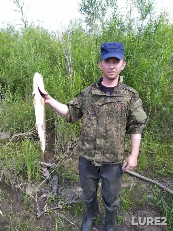 Pike — Narymka, Jul 24, 2019