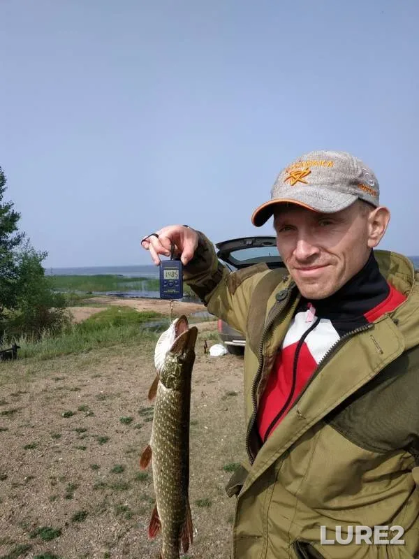 Pike — Shakshinskoye, Aug 02, 2019