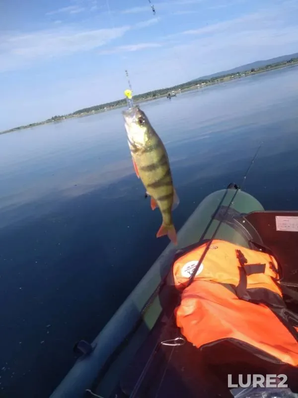 Perch — Arakhley, Jun 21, 2019
