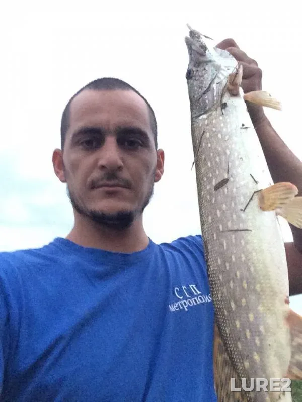 Pike — Urup, Oct 03, 2018