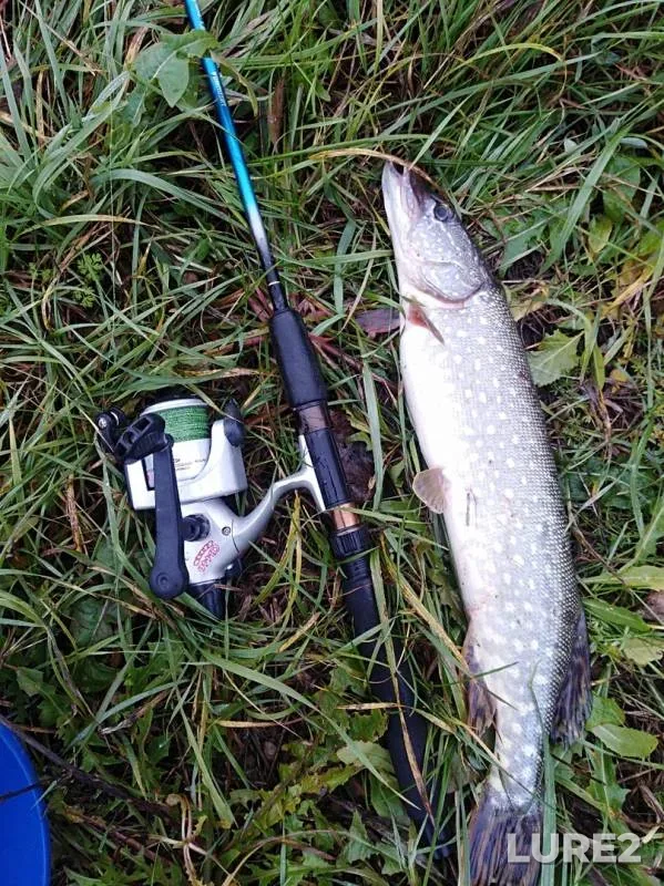 Pike — Vtoraya, Nov 18, 2018