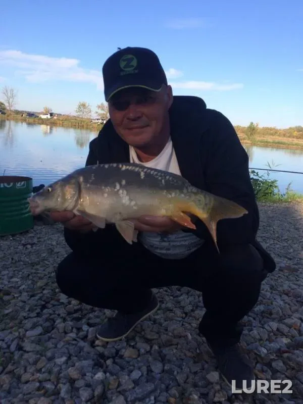 Carp — Krasnodarskiy kray, Oct 14, 2019