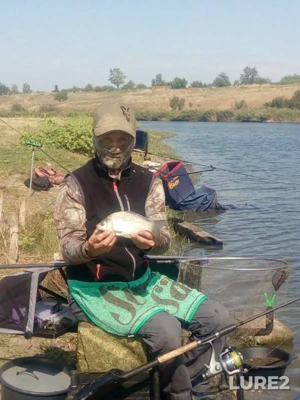 Bream, Crucian carp — Beysuzhyok Levyy, Sep 06, 2019