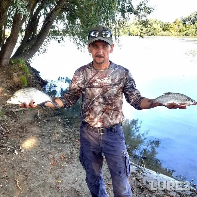 Bream — Kuban, Aug 11, 2019