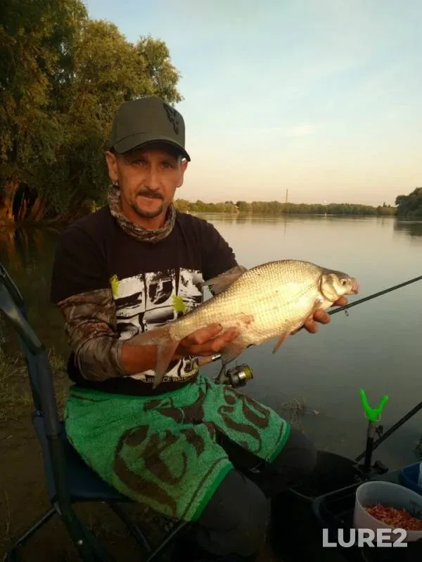 Bream — Kuban, Jun 16, 2019