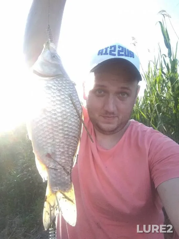 Crucian carp — Kochety, May 22, 2019