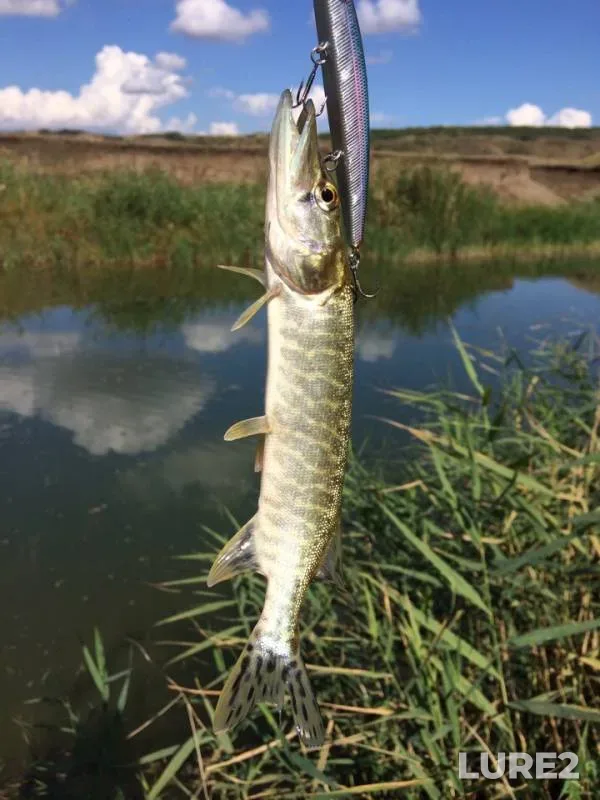 Pike — Urup, Sep 13, 2018