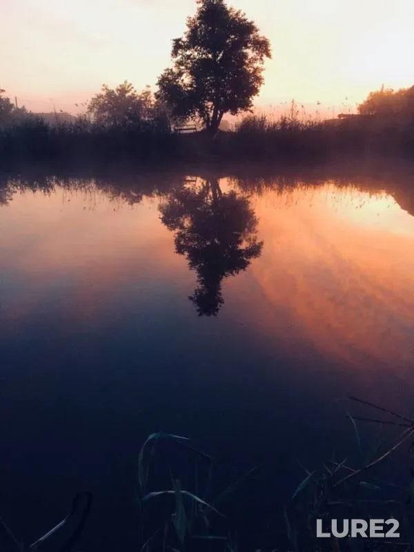 Bream — Akhtanizovskiy liman, May 22, 2018